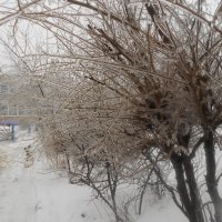 ледяной день :: Елена Шаламова