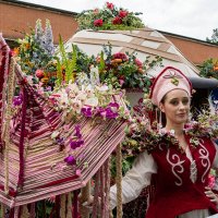 Фестиваль цветов :: Ирина Соловьёва Фестиваль цветов :: Ирина Соловьёва