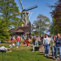 Keukenhof... :: Dmitriy Dikikh