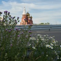 Шоссе в никуда, цветы на обочине :: Олег Манаенков Шоссе в никуда, цветы на обочине :: Олег Манаенков
