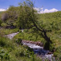 " Без воды — и ни туды, и ни сюды..." :: LudMila 