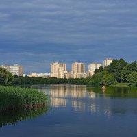 Цвет июня :: Андрей Лукьянов