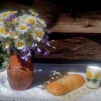 Деревенское лето! :: Нина Андронова