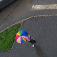 зонтик :: Арсений Корицкий