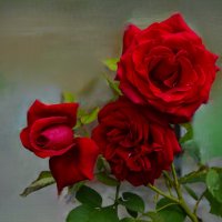 Трио... :: Надежда Куркина Трио... :: Надежда Куркина