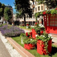Клумбы в форме бочек по всему бульвару. :: Татьяна Помогалова