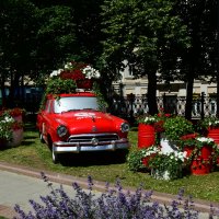 Бульвар Лукойла. Лето в Москве. :: Наталья Вязигина