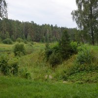парковый комплекс Василёво :: Галина R...