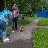 ***** :: юрий поляков