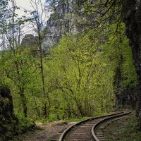 Гуамское ущелье. Краснодарский край :: Galina 