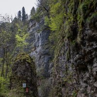 Гуамское ущелье :: Galina 