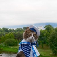 Морячёк! :: Нина Андронова