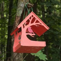 Из серии кормушки и скворечники Кисловодска :: Мариша Тим Из серии кормушки и скворечники Кисловодска :: Мариша Тим