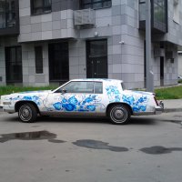 Ну какова красота! :: Наталья Вязигина