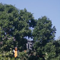YE(S) :: Chortyla 