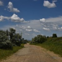 Полевая дорога :: Александр Полевая дорога :: Александр
