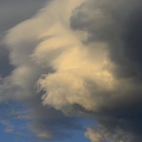 Грозовые облака :: Ольга 