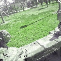 14  КЛОС (483) :: CLOSE WAYS ALL