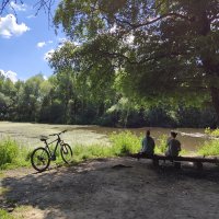 В июньский полдень у старого пруда. :: Сергей Романов В июньский полдень у старого пруда. :: Сергей Романов