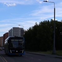 По маршруту. :: Василий Палий По маршруту. :: Василий Палий