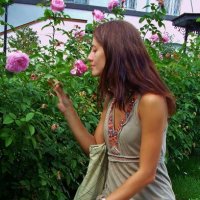 ..  розовые розы в саду Марфо-Мариинской обители... :: galalog galalog