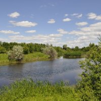 Местная река. :: Виктор 