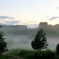 На закате :: Людмила 