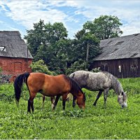 ****** :: Валерия Комова ****** :: Валерия Комова