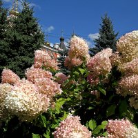 В Иверском монастыре. Самара :: MILAV V