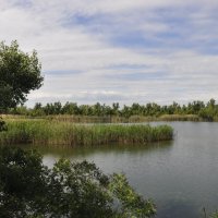 Местная река. :: Виктор Местная река. :: Виктор