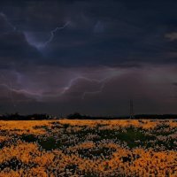 Гроза :: евгений 