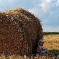 Запах сена и жары :: AngussGrand 