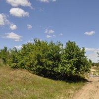 Мои дороги. :: Виктор Мои дороги. :: Виктор