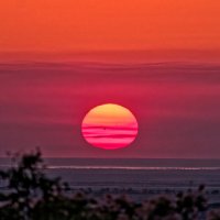 Пятнистая звезда :: Всеволод Пятнистая звезда :: Всеволод