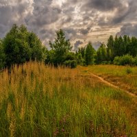 Однажды субботним днем 2. :: Андрей Дворников