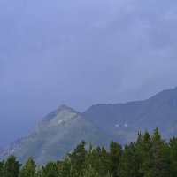 Аршан :: Ольга 
