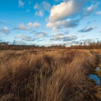 *** :: Николай Гирш *** :: Николай Гирш