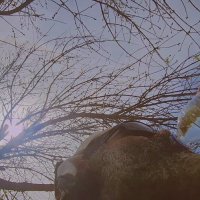14  КЛОС (502) :: CLOSE WAYS ALL