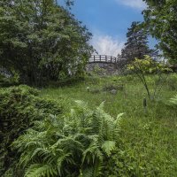*** :: Николай *** :: Николай