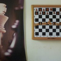 Белые начинают и выигрывают :: Николай Семёнов