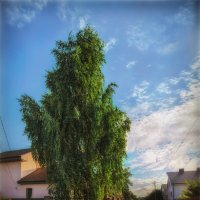 На границе.. :: AZ east3