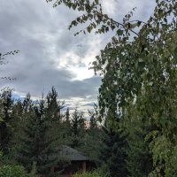 Июль :: Андрей Хлопонин Июль :: Андрей Хлопонин