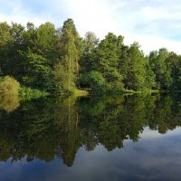 Изучаю симметрию :: Андрей Лукьянов Изучаю симметрию :: Андрей Лукьянов