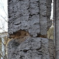 ПУШКИН. :: Виктор Осипчук ПУШКИН. :: Виктор Осипчук