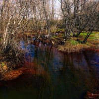 Болотце :: Олег Чемоданов