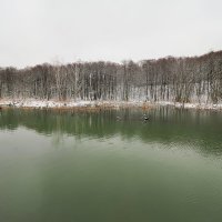 Рка Химка в парке Покровское-Стрешнево. :: Евгений Седов