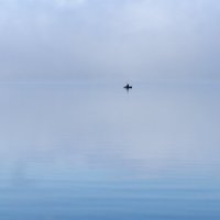 Рыбак. :: Анатолий Анатолий