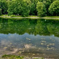 Немного природы :: Натали 