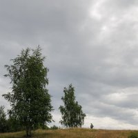 Лето :: Серый Лето :: Серый