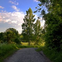 д.Белошкино :: Артем 